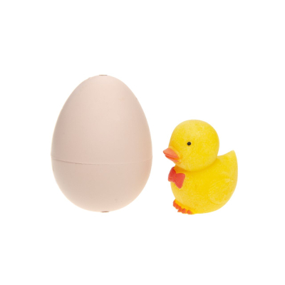 9289 DUCK GROWING EGG