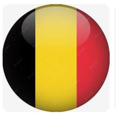 4834 9" PVC BALL, FLAG, BELGIUM
