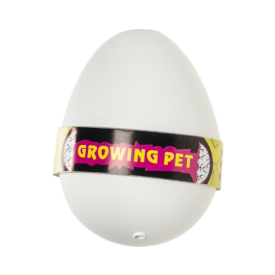 9255 DINOSAUR GROWING EGG BOX