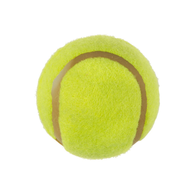 4808 3PCS TENNISBALL PPH