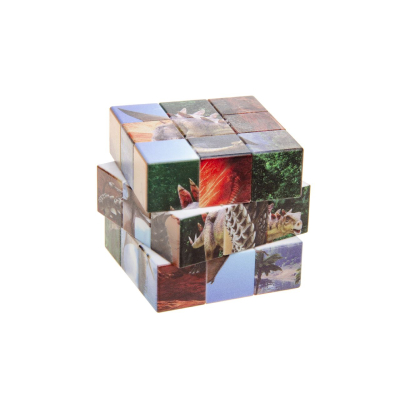 7106 DINOSAUR MAGIC CUBE °°°°
