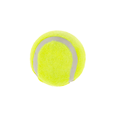 4808 3PCS TENNISBALL PPH