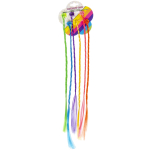 0529 RAINBOW COLOR HAIR