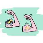 8483 12PCS TATTOO, UNICORN DB