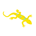 9365 STRETCH GECKO