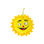 1712 PLUSH, SUPER SOFT, FUNNY SUN 6ASS