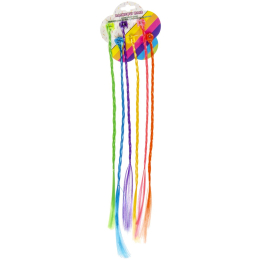 0529 RAINBOW COLOR HAIR