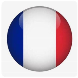 4836 9" PVC BALL, FLAG, FRANCE