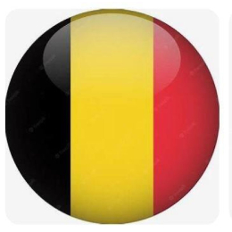 4834 9" PVC BALL, FLAG, BELGIUM