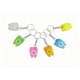 9873 KEYCHAIN DENTAL FLOSS