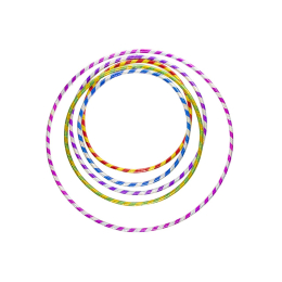 4390 HULAHOOP 4 SIZES MIX